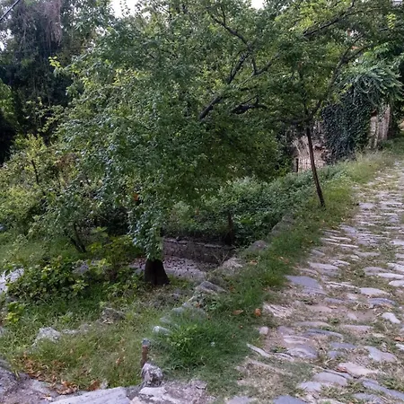 Ξενοδοχείο με διαμερίσματα Archontiko Michael Pelion Βυζίτσα