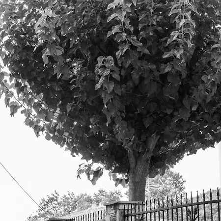 Aparthotel Archontiko Michael Pelion 4*