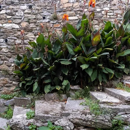 Archontiko Michael Pelion Aparthotel