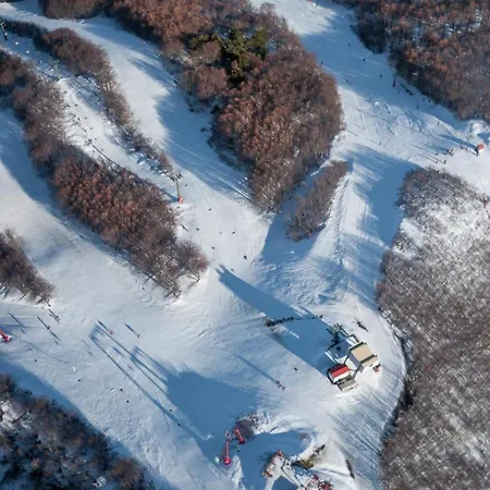 Archontiko Michael Pelion Vizitsa