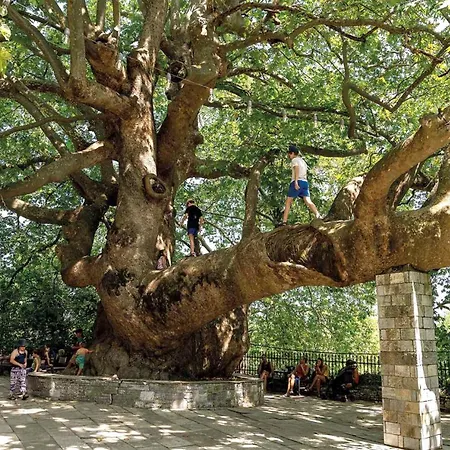 Archontiko Michael Pelion 4*