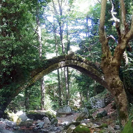 Aparthotel Archontiko Michael Pelion Vizitsa