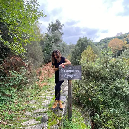 Archontiko Michael Pelion Appart hôtel Vizitsa