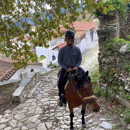 Archontiko Michael Pelion Vizitsa