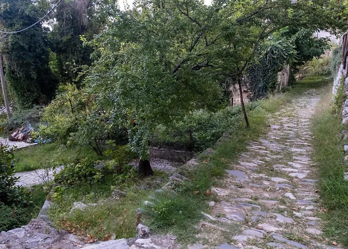 Aparthotel Archontiko Michael Pelion Vizitsa