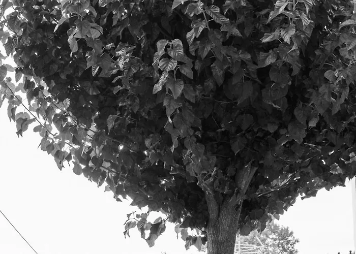 Apartahotel Archontiko Michael Pelion 4*