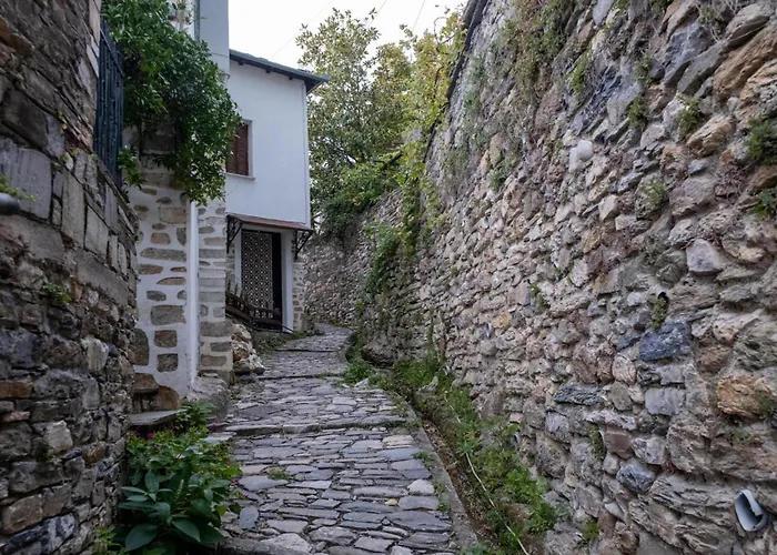 Archontiko Michael Pelion Apartahotel Vizítsa