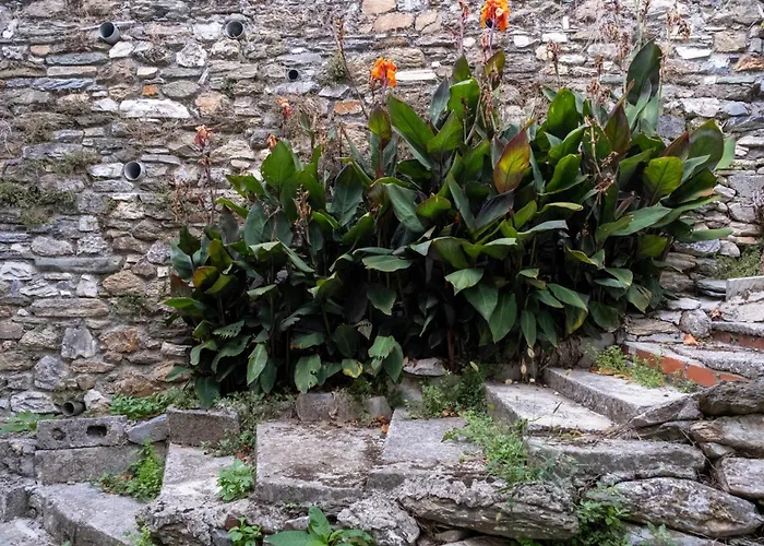 Archontiko Michael Pelion Apartahotel