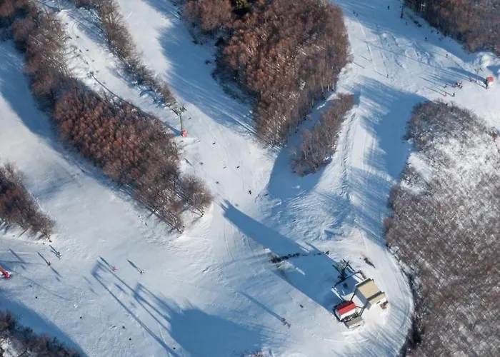 Archontiko Michael Pelion Vizítsa