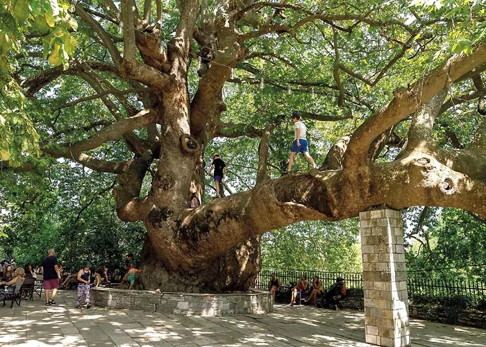 Archontiko Michael Pelion 4*