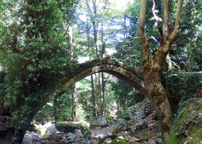 Aparthotel Archontiko Michael Pelion Vizitsa