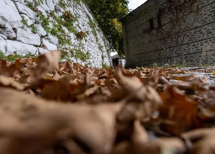 Archontiko Michael Pelion Aparthotel